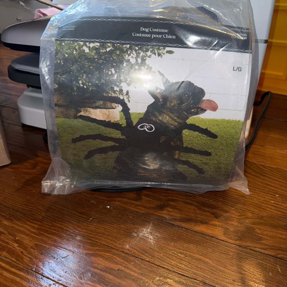 Black Dog Spider Costume
